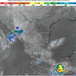 WhatsApp Image 2025-05-20 at 07.35.59