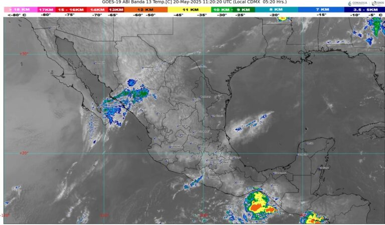 WhatsApp Image 2025-05-20 at 07.35.59