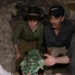 WhatsApp Image 2025-05-20 at 09.18.21