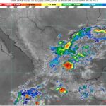 WhatsApp Image 2025-05-22 at 07.25.15