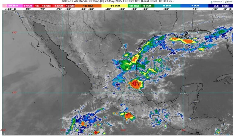 WhatsApp Image 2025-05-22 at 07.25.15