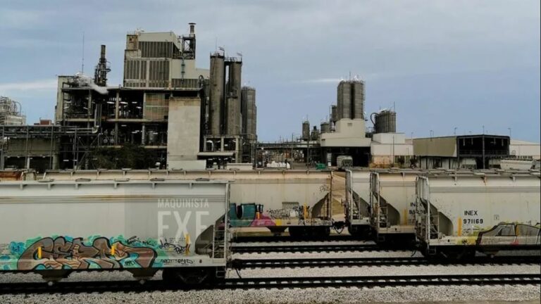 WhatsApp Image 2025-05-22 at 08.47.29