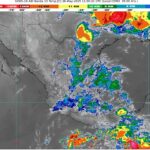 WhatsApp Image 2025-05-26 at 07.22.32