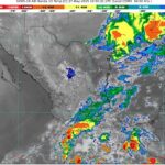 WhatsApp Image 2025-05-27 at 07.23.37