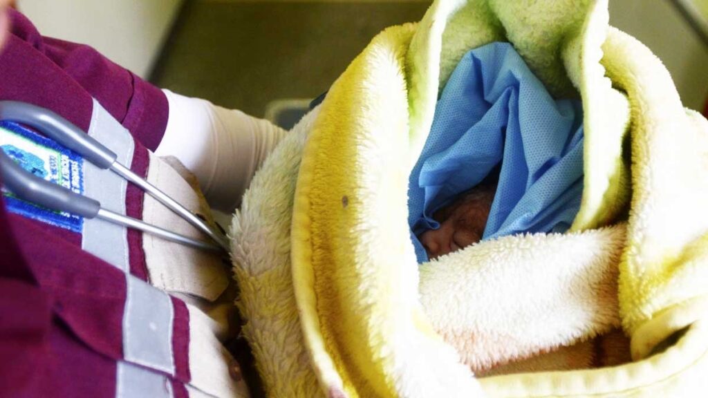 WhatsApp Image 2025-05-27 at 08.01.00