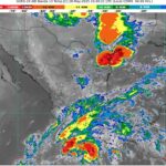 WhatsApp Image 2025-05-28 at 07.43.30