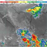 WhatsApp Image 2025-06-04 at 08.14.24