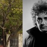 WhatsApp Image 2025-06-04 at 08.23.10