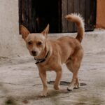 WhatsApp Image 2025-06-04 at 11.11.14