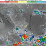 WhatsApp Image 2025-06-05 at 07.25.20