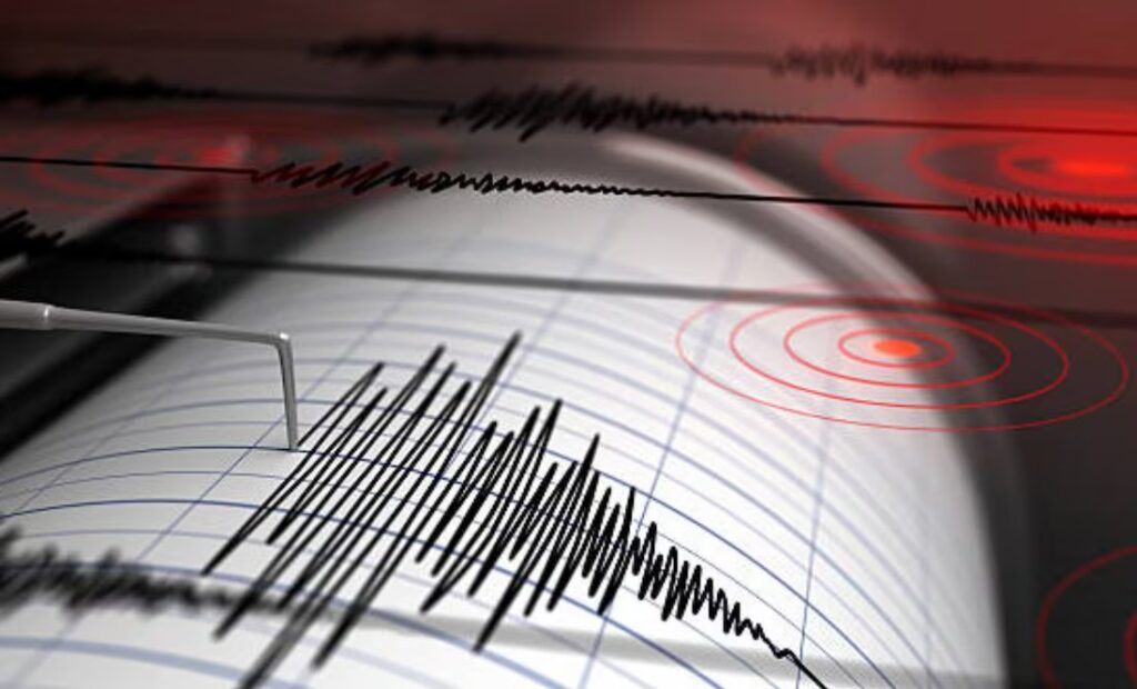 WhatsApp Image 2025-06-05 at 11.00.33