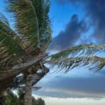 WhatsApp Image 2025-06-06 at 08.35.12