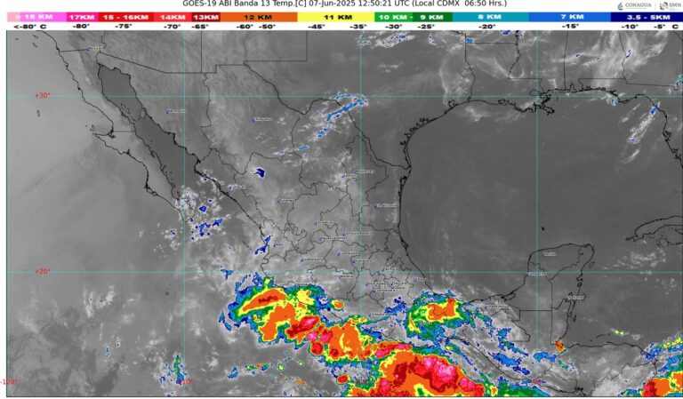 WhatsApp Image 2025-06-07 at 08.31.26