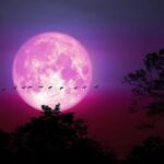 WhatsApp Image 2025-06-11 at 08.16.28