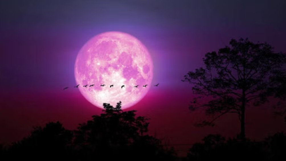 WhatsApp Image 2025-06-11 at 08.16.28