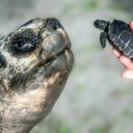 WhatsApp Image 2025-06-14 at 19.15.45