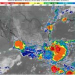 WhatsApp Image 2025-06-16 at 07.54.25 (1)