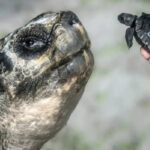 WhatsApp Image 2025-06-16 at 11.03.35 (1)