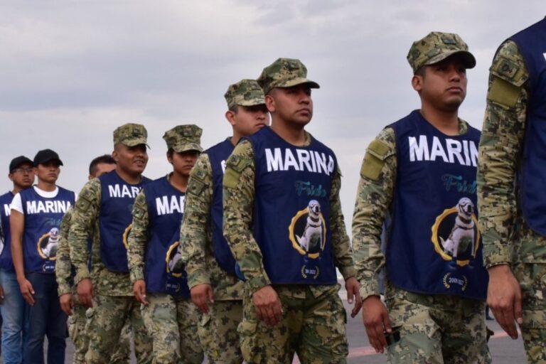 WhatsApp Image 2025-06-18 at 09.56.43