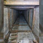 WhatsApp Image 2025-06-19 at 10.24.29