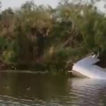 WhatsApp Image 2025-06-20 at 08.35.41