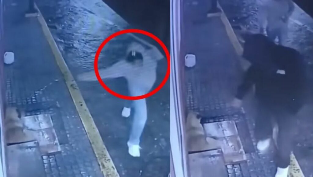 WhatsApp Image 2025-06-26 at 09.43.05