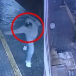 WhatsApp Image 2025-06-26 at 09.43.05