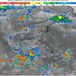 WhatsApp Image 2025-06-28 at 08.46.51