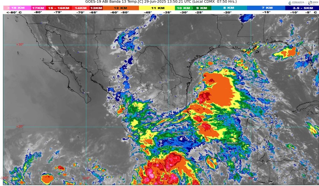 WhatsApp Image 2025-06-29 at 09.27.37