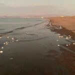 WhatsApp Image 2025-06-29 at 11.59.17