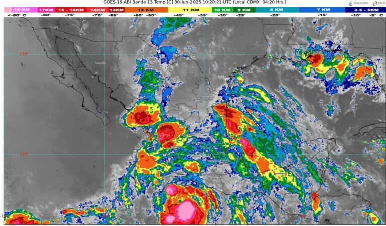 WhatsApp Image 2025-06-30 at 07.20.34