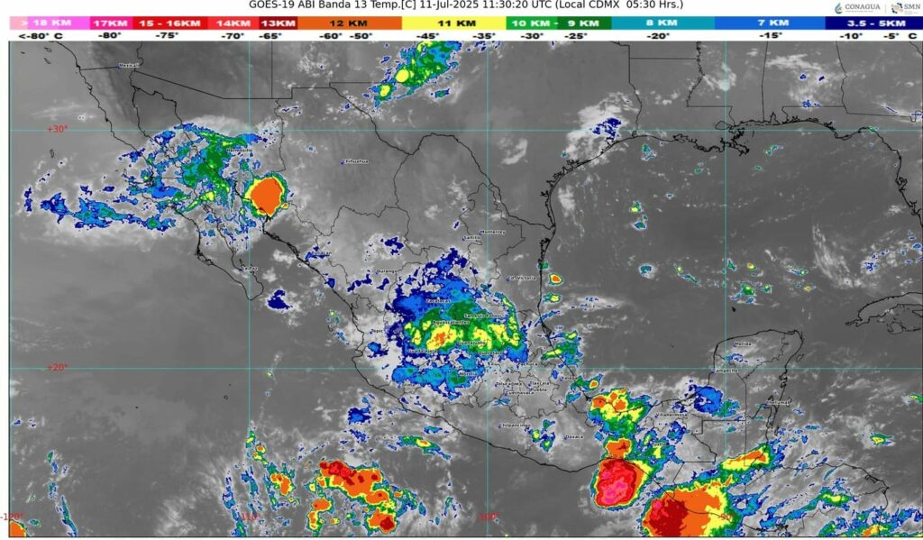 WhatsApp Image 2025-07-11 at 07.31.08