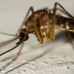 WhatsApp Image 2025-07-12 at 10.56.53