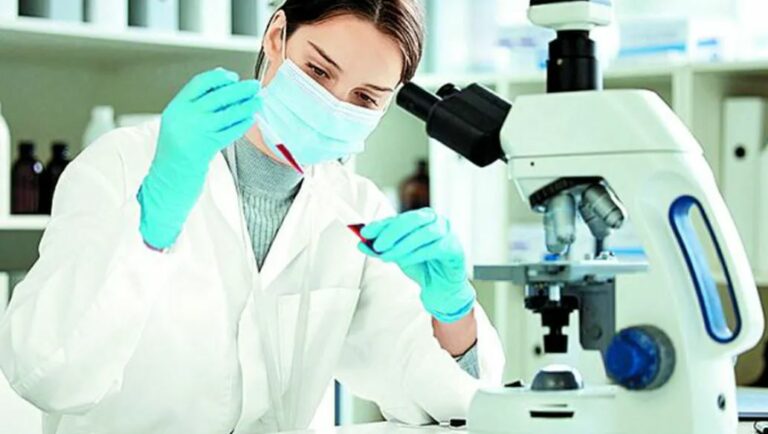 WhatsApp Image 2025-07-12 at 13.43.03