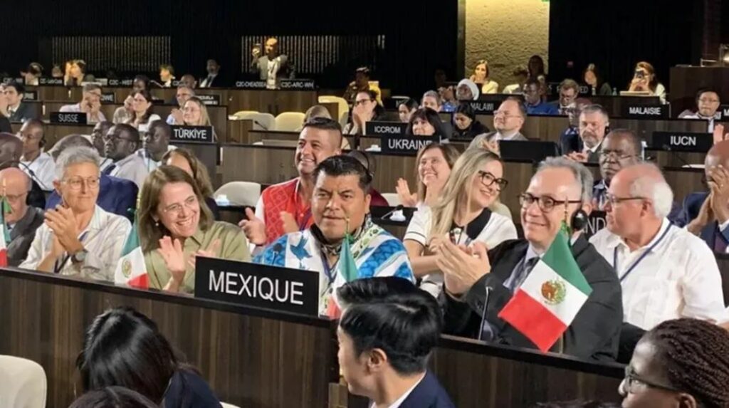 WhatsApp Image 2025-07-12 at 20.50.46