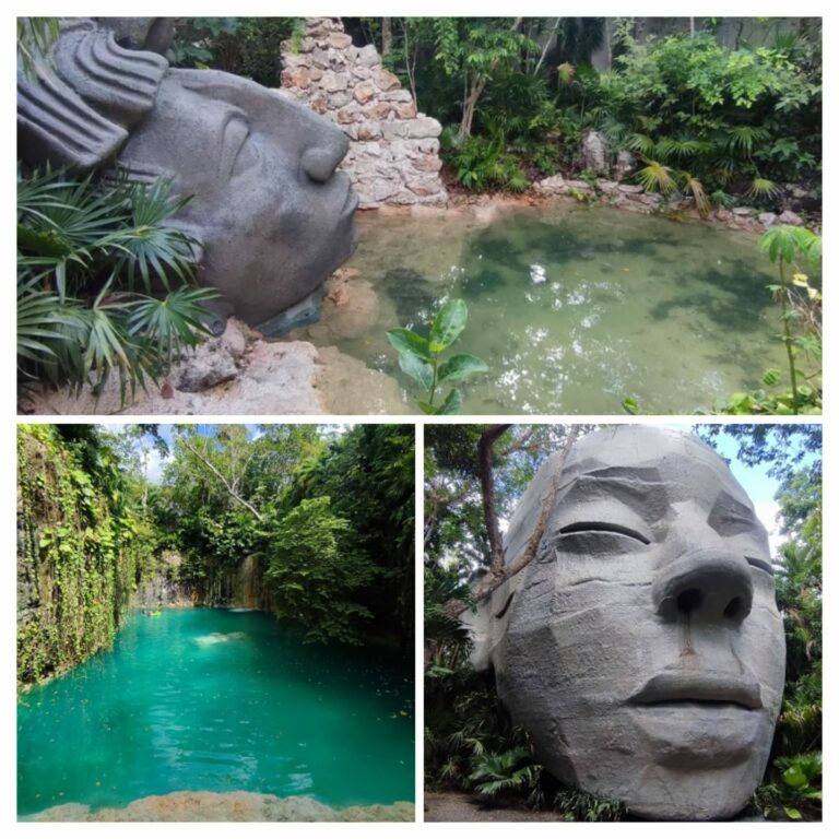 WhatsApp Image 2025-07-12 at 20.50.52