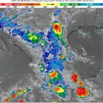 WhatsApp Image 2025-07-15 at 07.48.01