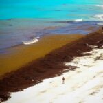 WhatsApp Image 2025-07-17 at 09.39.38