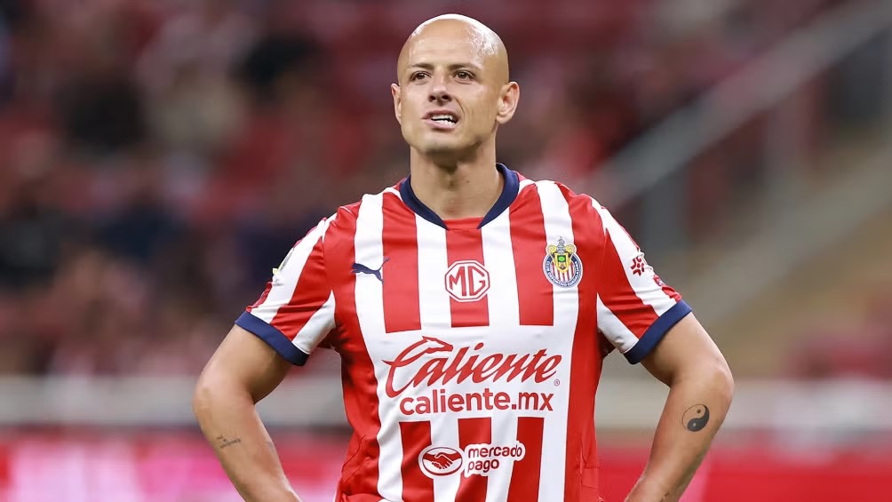 WhatsApp Image 2025-07-17 at 09.56.37