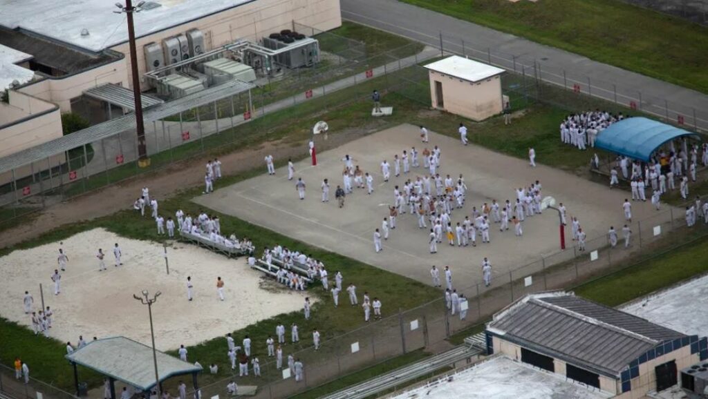 WhatsApp Image 2025-07-21 at 09.02.13