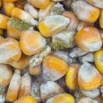 WhatsApp Image 2025-07-21 at 09.40.08