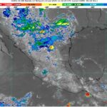 WhatsApp Image 2025-07-22 at 08.03.37