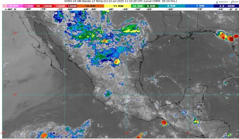 WhatsApp Image 2025-07-22 at 08.03.37