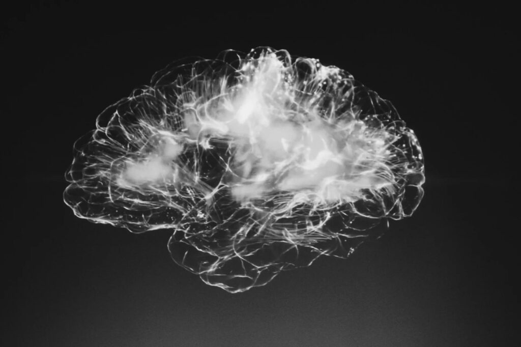 WhatsApp Image 2025-07-23 at 10.24.47