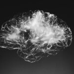 WhatsApp Image 2025-07-23 at 10.24.47