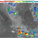 WhatsApp Image 2025-07-24 at 07.35.20