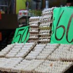 WhatsApp Image 2025-07-24 at 08.34.50