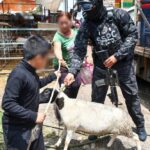 WhatsApp Image 2025-07-25 at 10.33.47