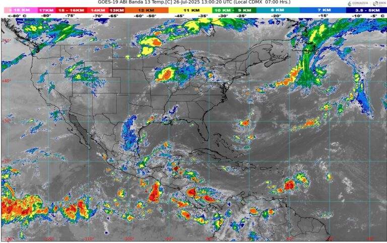 WhatsApp Image 2025-07-26 at 08.41.33