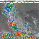 WhatsApp Image 2025-07-29 at 07.44.15